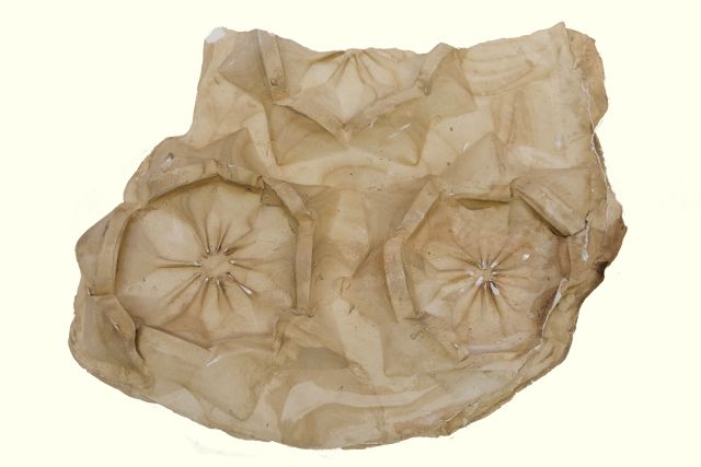 Linienkörperornament